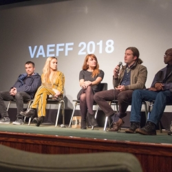 VAEFF 2018 Arist Q&As