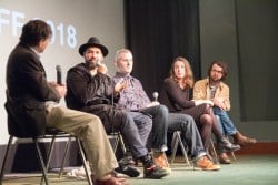 VAEFF 2018 Artist Q&A