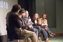 VAEFF 2018 Artist Q&As