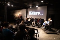 VAEFF 2018 Panel Discussion