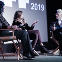 VAEFF 2019  Artist Q&As