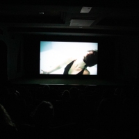 VAEFF 2019 Screenings