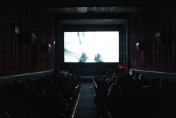 VAEFF-2024-06982 VAEFF-2024-06982