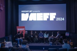 VAEFF-2024-8679 VAEFF-2024-8679