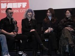 VAEFF-2024-8689 VAEFF-2024-8689