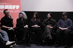 VAEFF-2024-8767 VAEFF-2024-8767