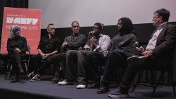 VAEFF-2024-9046 VAEFF-2024-9046