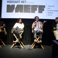 VAEFF 2014