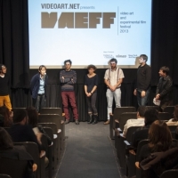 VAEFF 2013