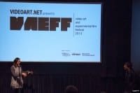 VAEFF 2013