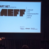 VAEFF 2013