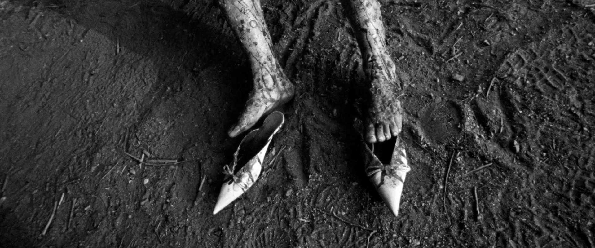 The Pointy Slippers