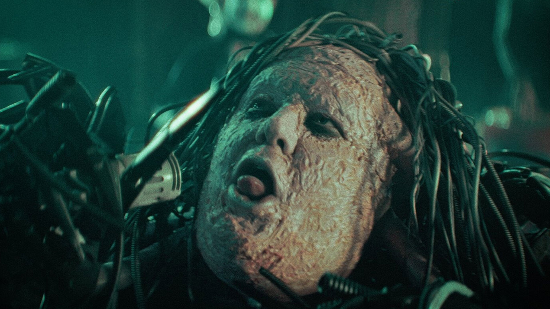 Dren Iz Vineniy