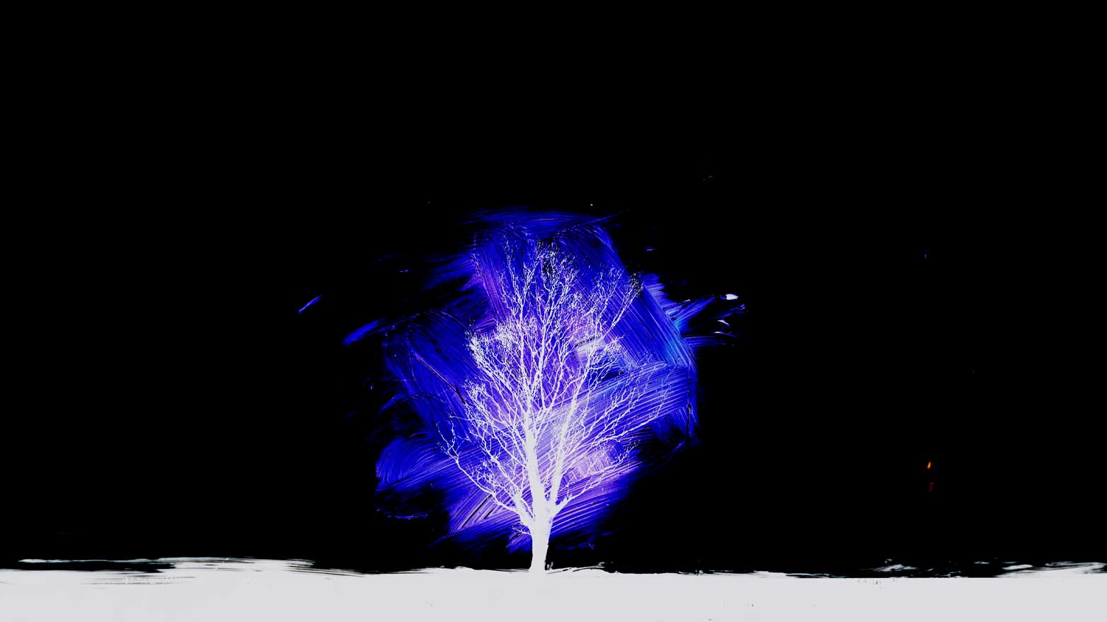 Patterns of Nature